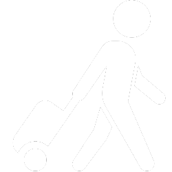 Business travel icon